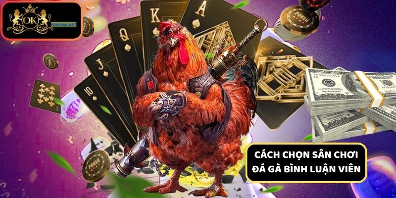 Hướng dẫn cách chọn sân chơi đá gà bình luận viên chất lượng 